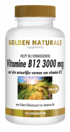 Vitamin B12 3000 mcg 120 vegan lozenges